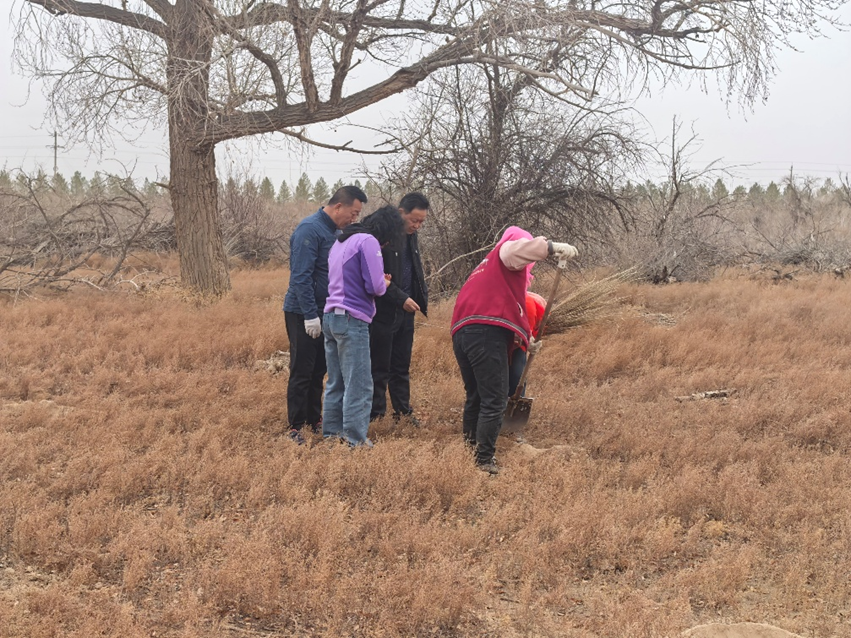 治沙科研项目示范区建设稳步推进 高校学子走进治沙一线实践学习