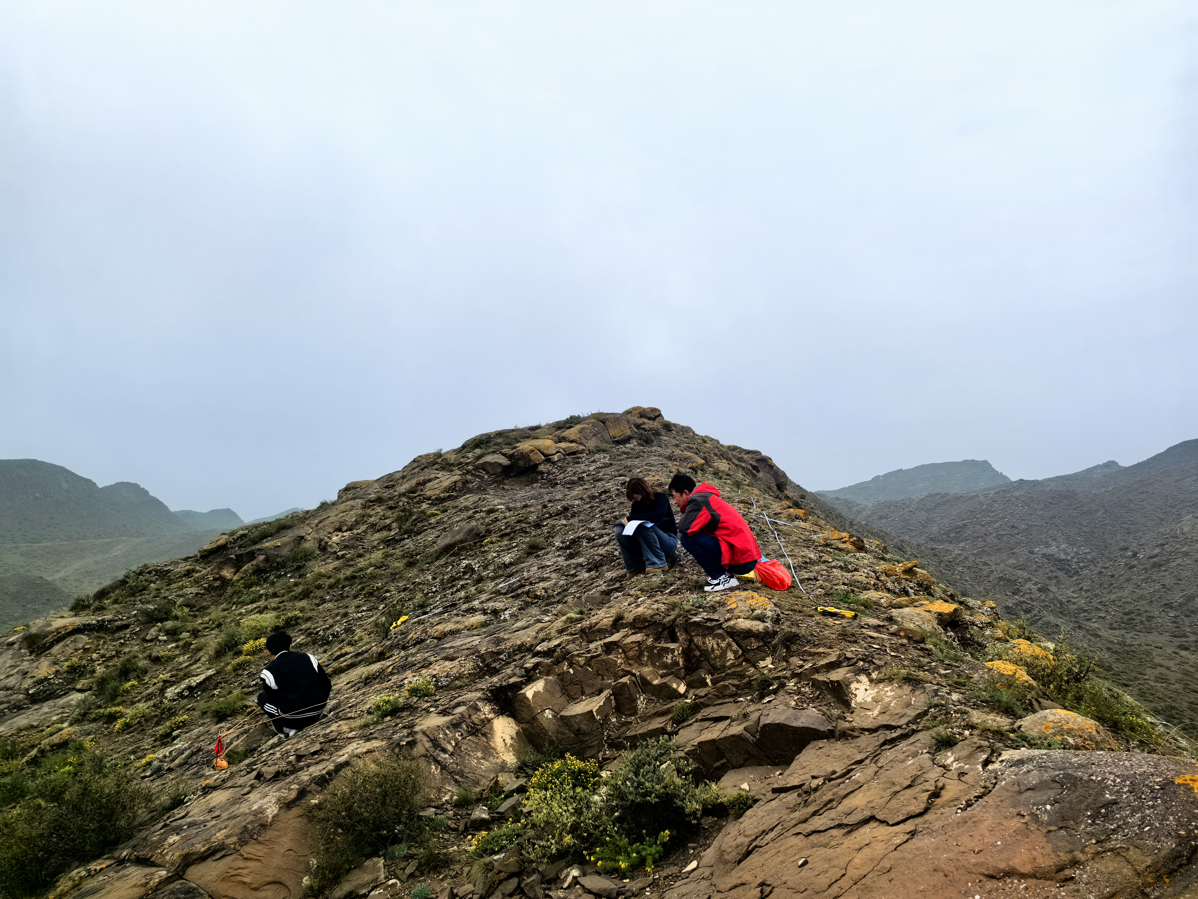 国家重点保护野生植物斑子麻黄原生境保护及固定监测工作取得阶段性进展