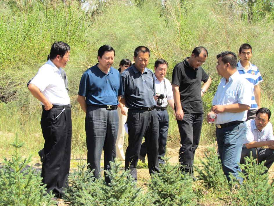 甘肃省林业厅张肃斌副厅长一行到我所甘肃省民勤治沙综合试验站检查指导工作