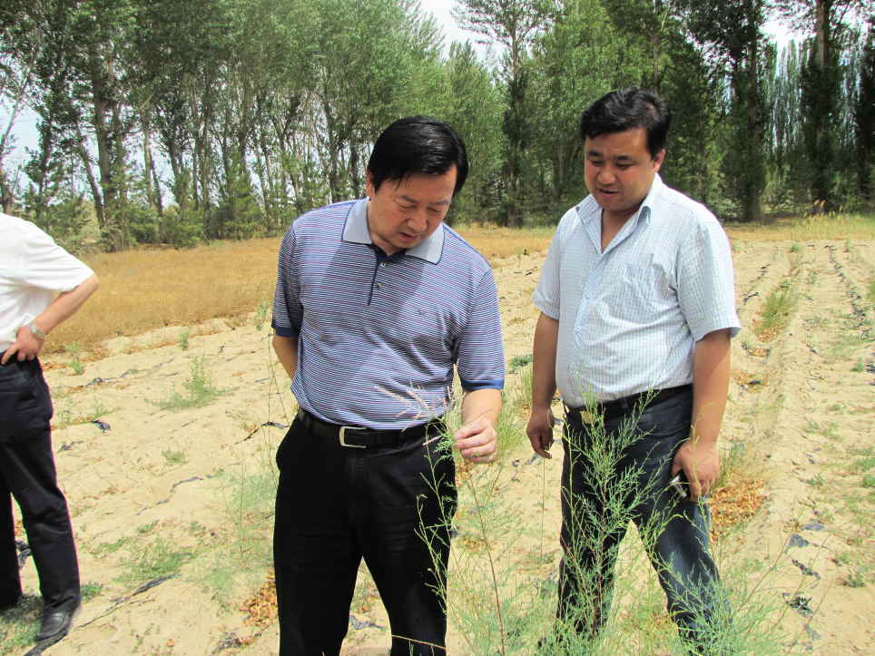 甘肃省林业厅张肃斌副厅长一行到我所甘肃省民勤治沙综合试验站检查指导工作