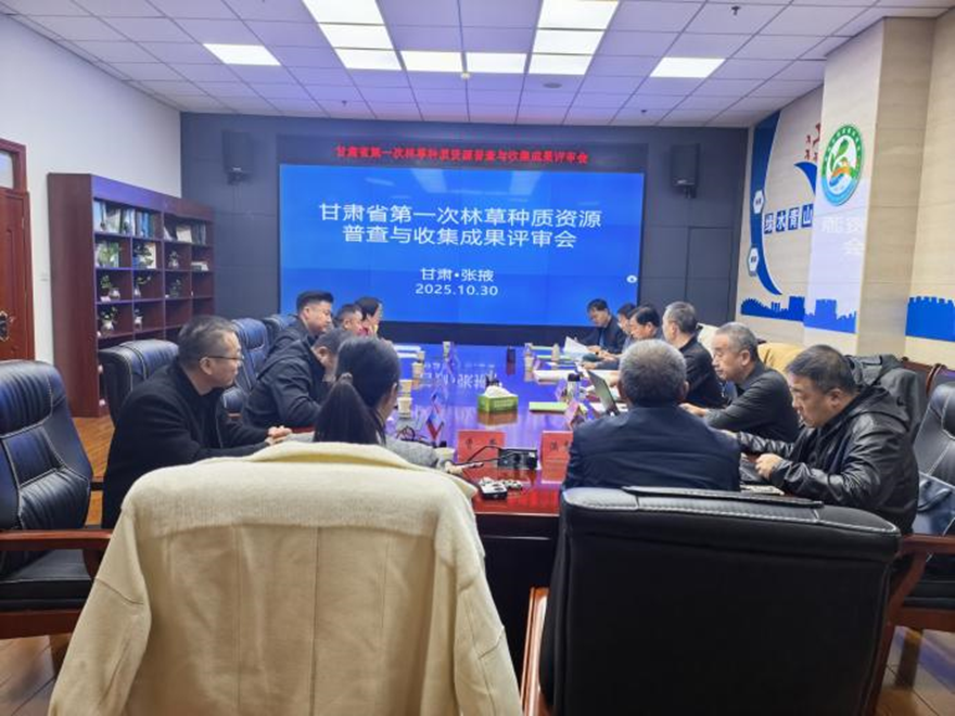 1762140783181716.png 1762140783181716.png