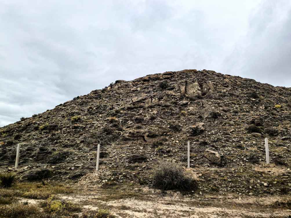 1762860059641159.jpg 1762860059641159.jpg