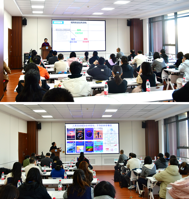 1762947527111820.png 111.png