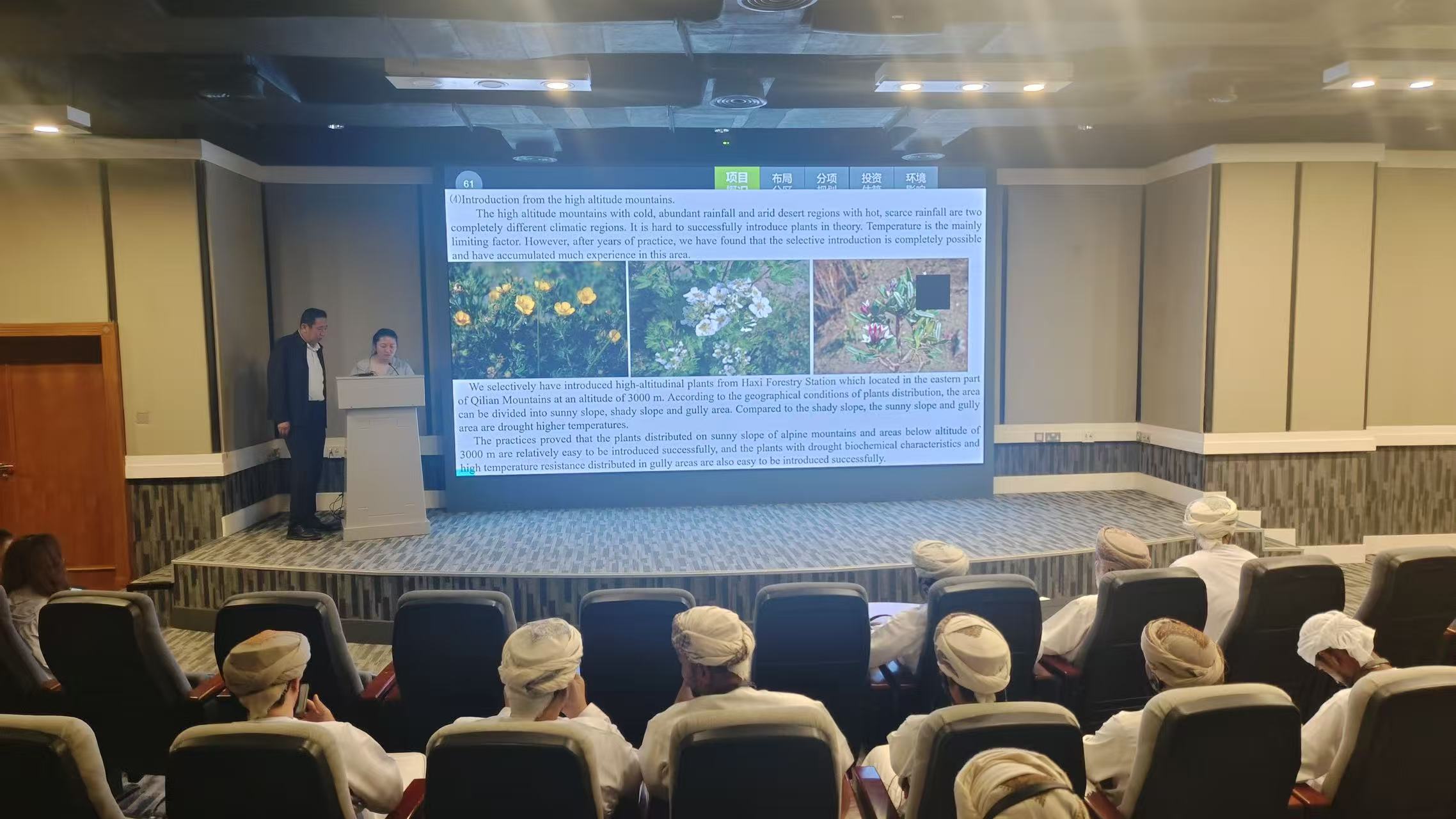 1764337112480601.jpg 1764337112480601.jpg