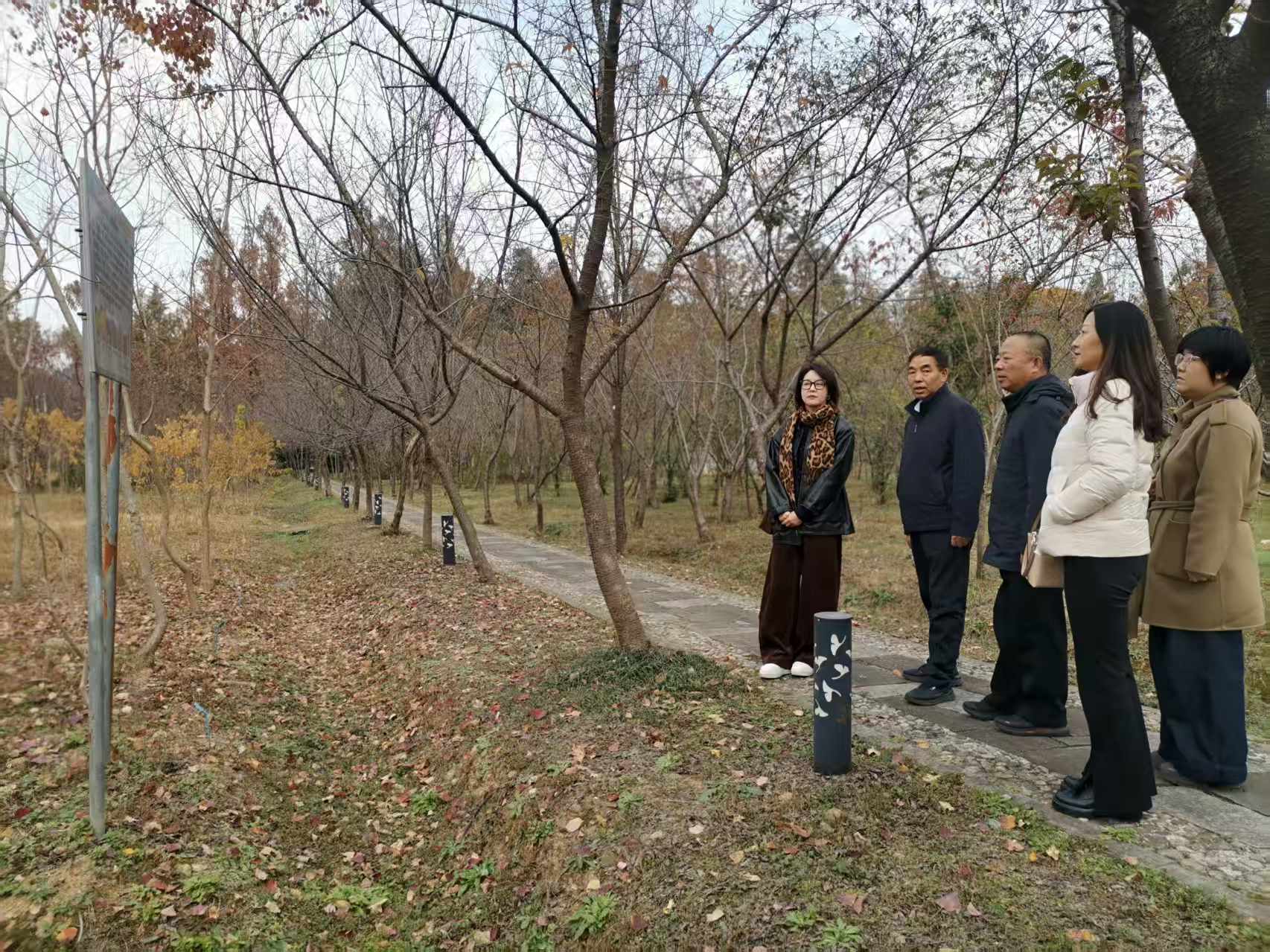 1764917670398774.jpg 1764917670398774.jpg