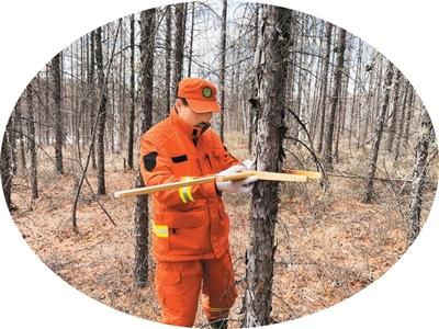 1774229942856495.jpg 1774229942856495.jpg