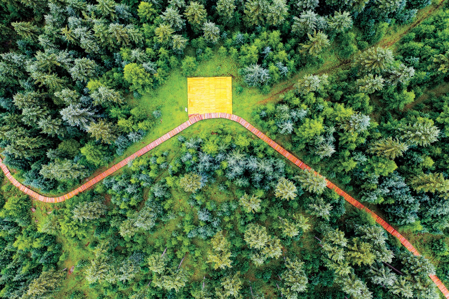 1774230242100058.jpg 1774230242100058.jpg